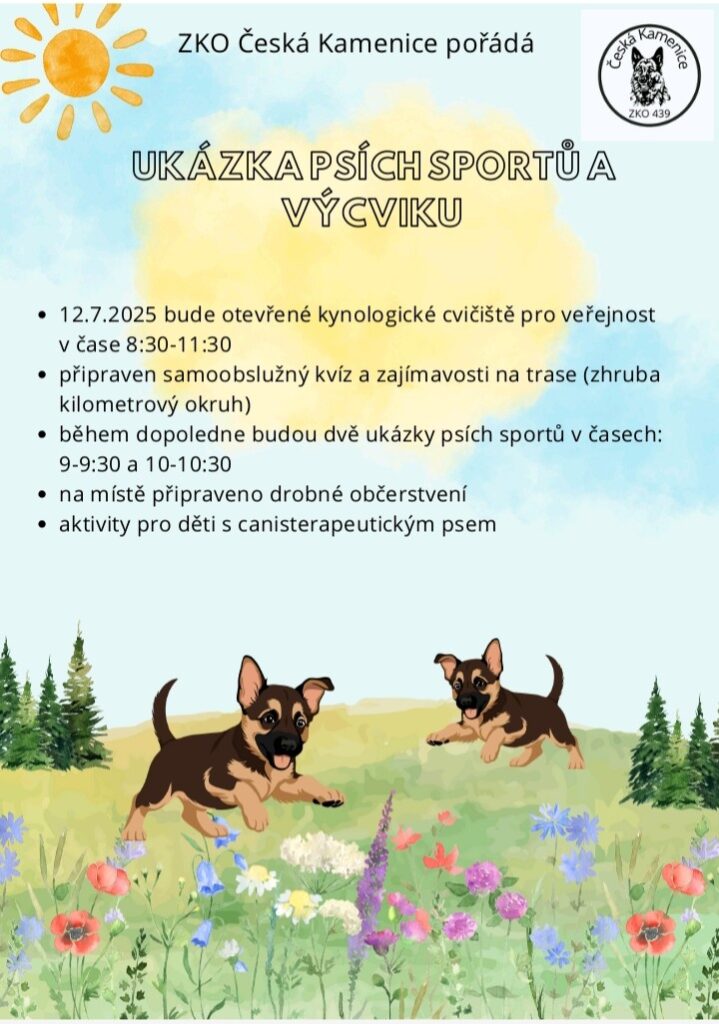 ZKO Česká Kamenice