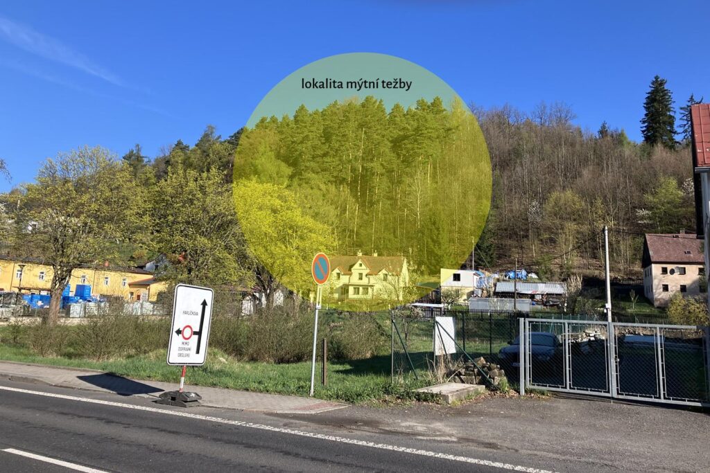 Lokalita těžby dřeva